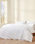 Cannon Cotton Fresh Solid Bed Sheet Set
