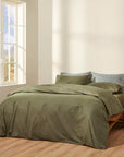 Cannon Cotton Fresh Solid Bed Sheet Set