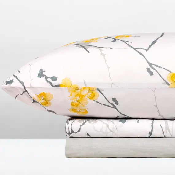 ΣΕΤ ΣΕΝΤΟΝΙΑ ΠΕΙΡΑΙΚΗ ΠΑΤΡΑΙΚΗ ΩΜΕΓΑ