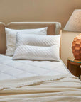 Pillows Cannon Dual Comfort set